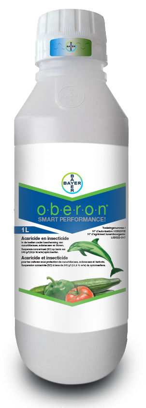 Oberon insecticide online